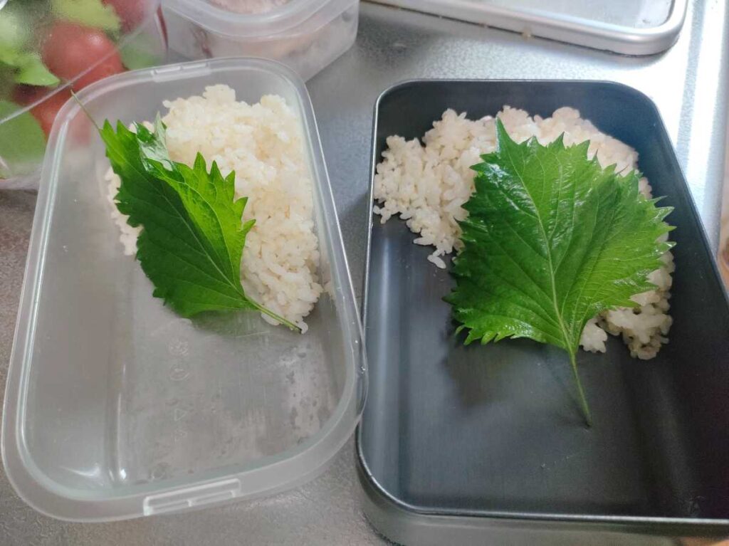 お弁当箱に詰めたご飯に大葉を載せた様子